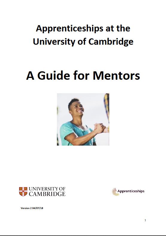 Click to view A guide for mentors